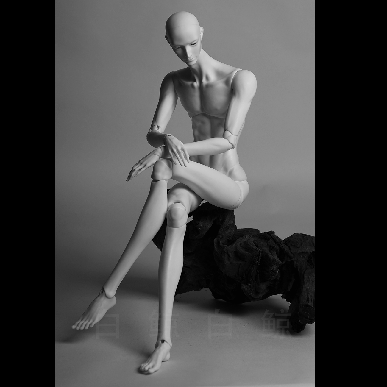 75cm Male Body  $495