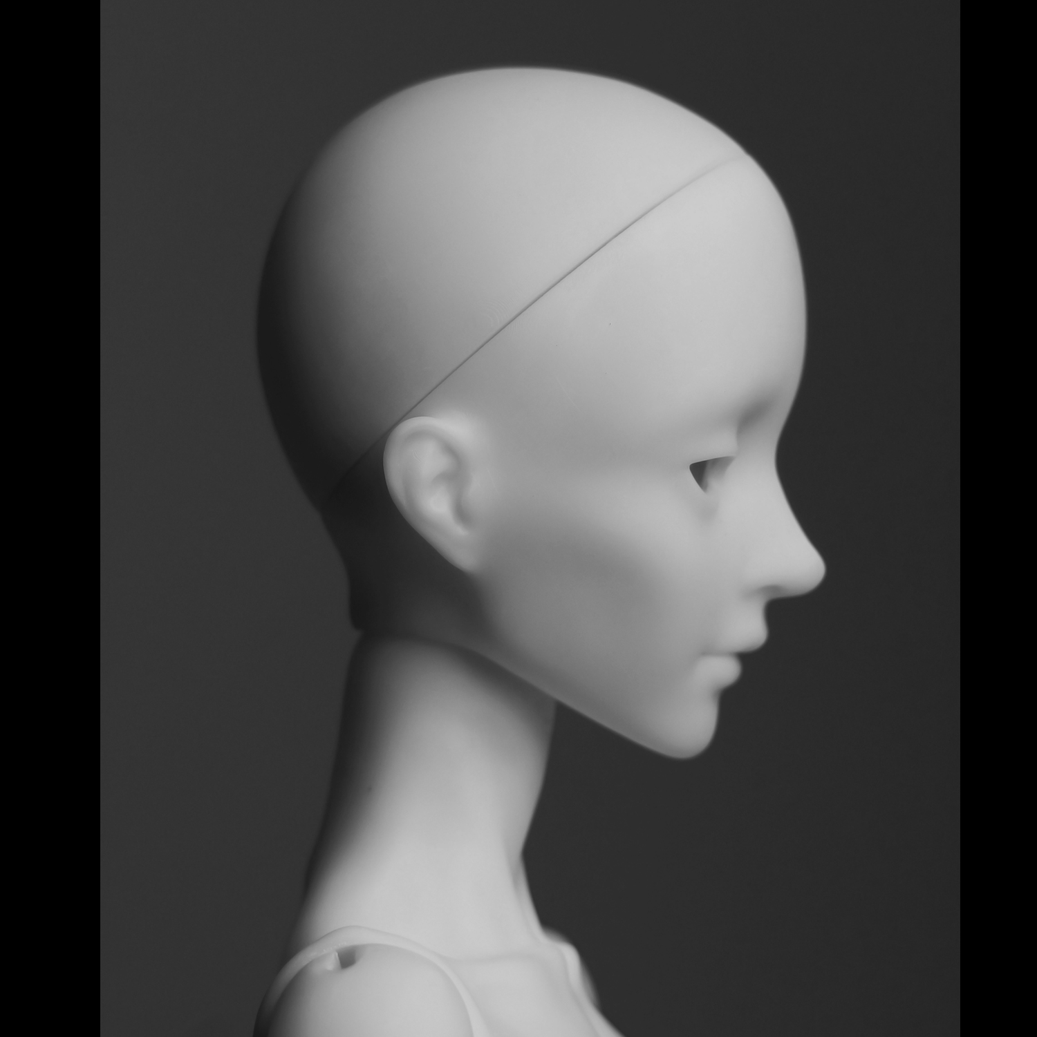 Mina's head(not for sale alone)